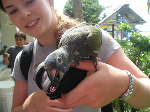 studying abroad...with animals!